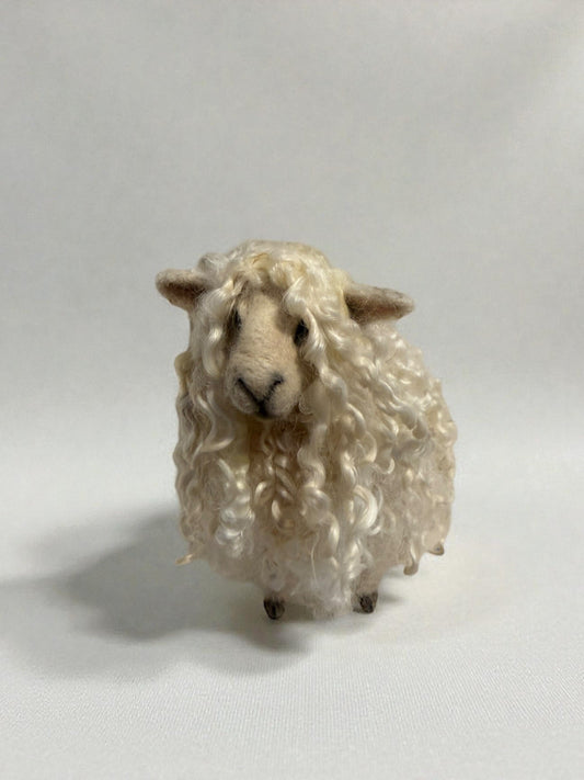White Longwool Sheep